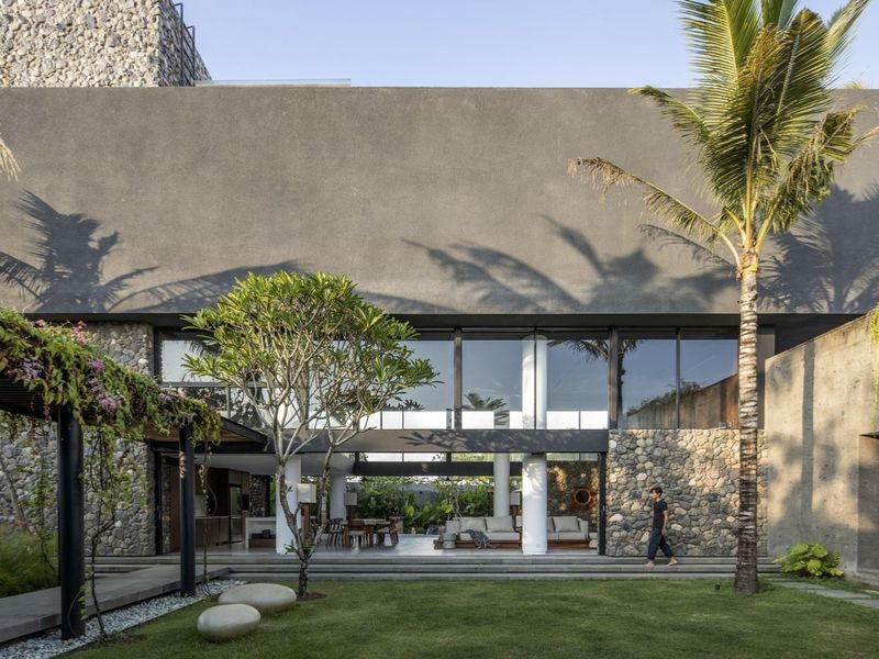 các loại cây bóng mát trồng sân vườn