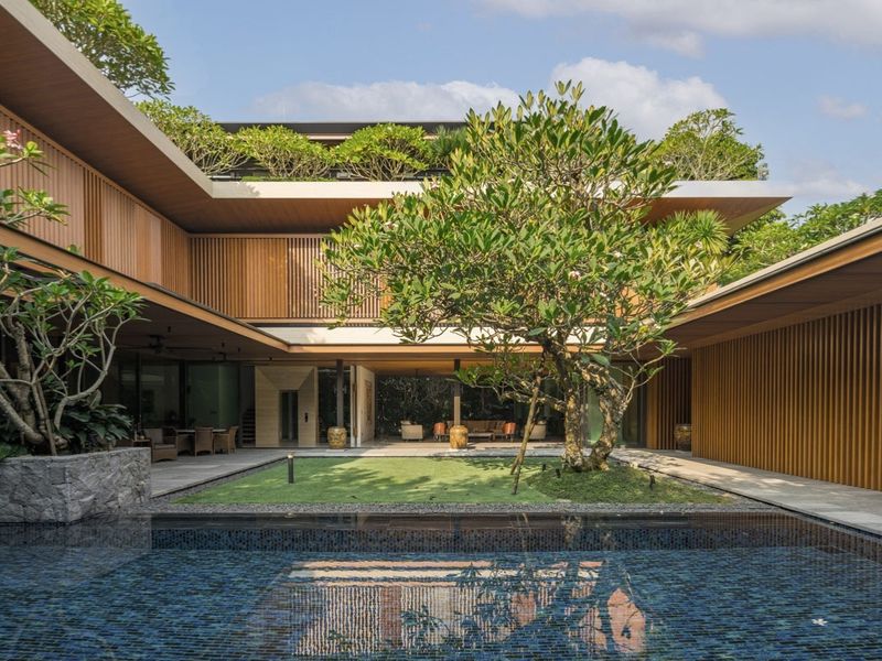 các cây bóng mát