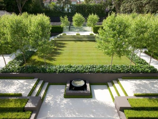 cây bóng mát sân vườn