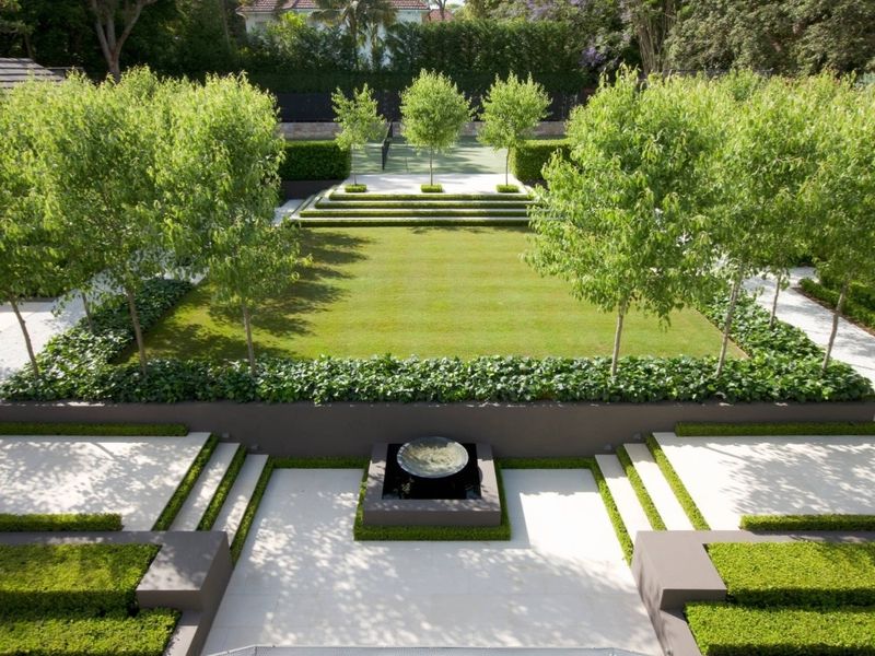 cây bóng mát sân vườn