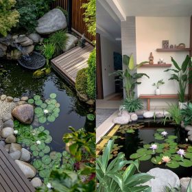 hồ nước tiểu cảnh