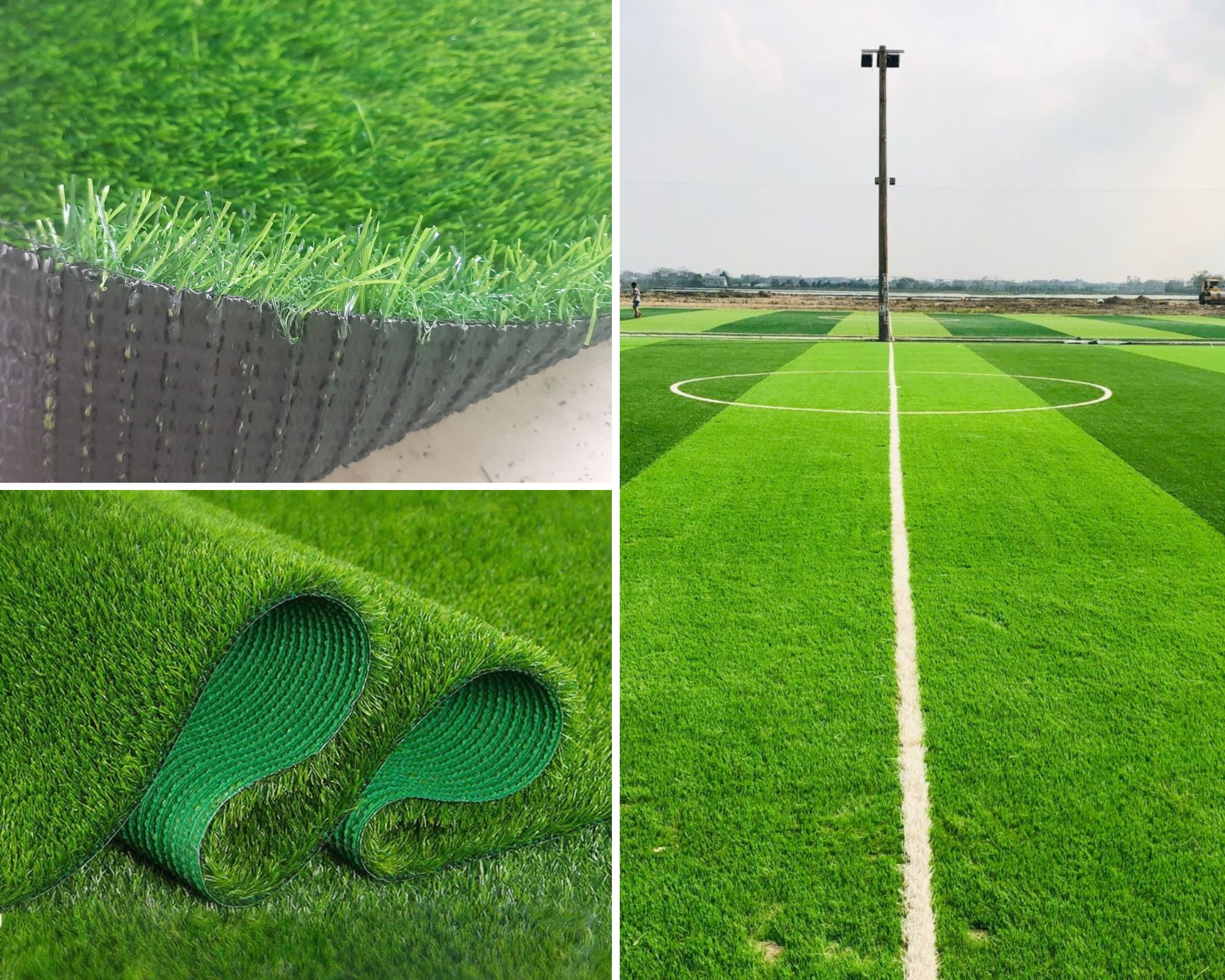 cỏ sân vườn nhân tạo