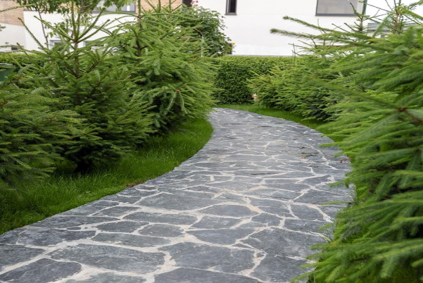 gạch đá sân vườn