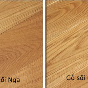 gỗ sồi