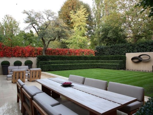 hàng rào bằng cây