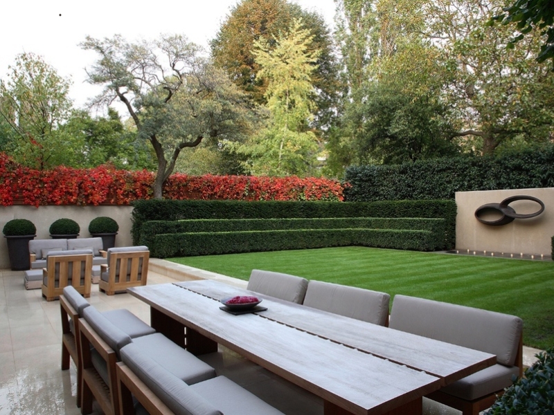 hàng rào bằng cây