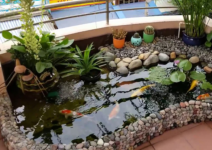 có nên làm hồ cá trong nhà