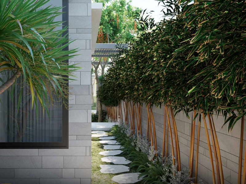 sân vườn bên hông nhà