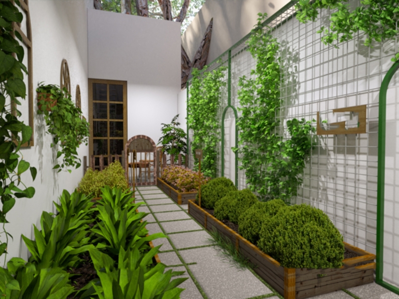 sân vườn nhỏ bên hông nhà