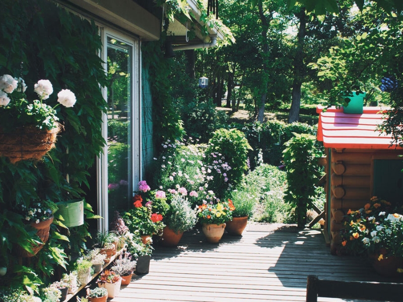 vườn bên hông nhà