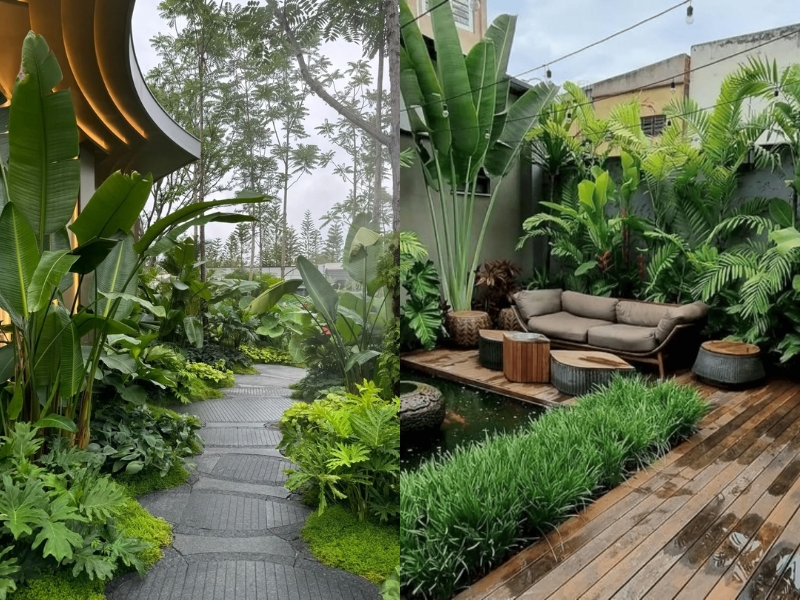 thiết kế sân vườn nhỏ sau nhà