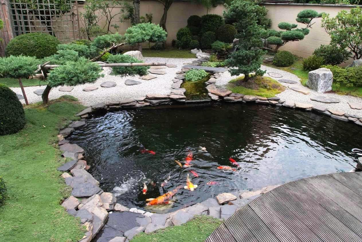 Thiết Kế Hồ Cá Koi Ngoài Trời