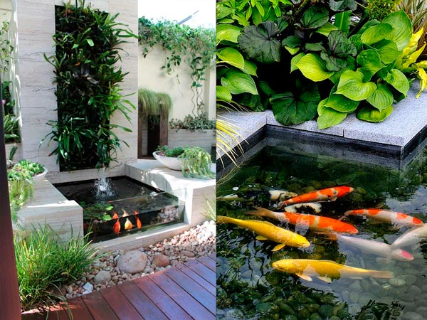 thiết kế bể cá koi ngoài trời