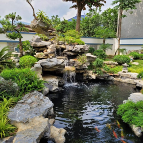 thiết kế bể cá koi ngoài trời