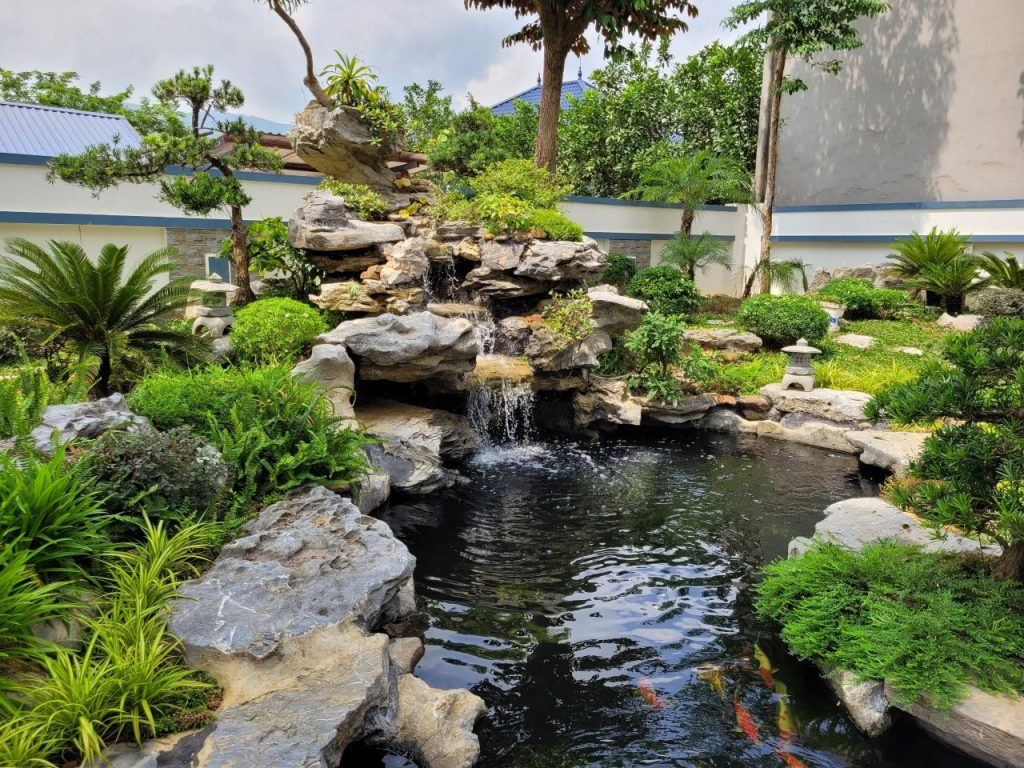 thiết kế bể cá koi ngoài trời